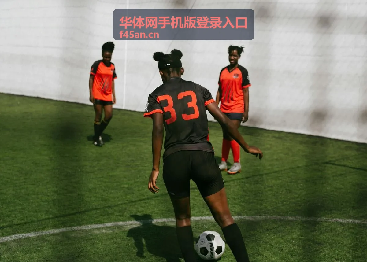 华体网手机版登录入口手机端访问指引封面