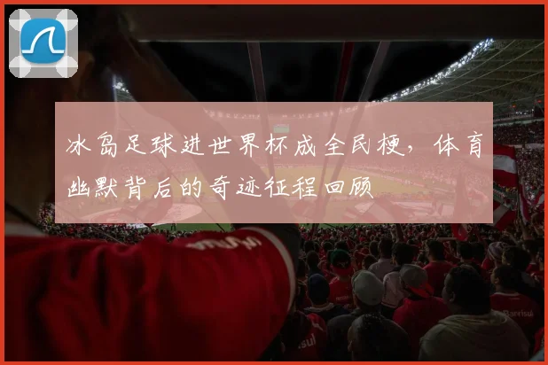 冰岛足球进世界杯成全民梗，体育幽默背后的奇迹征程回顾