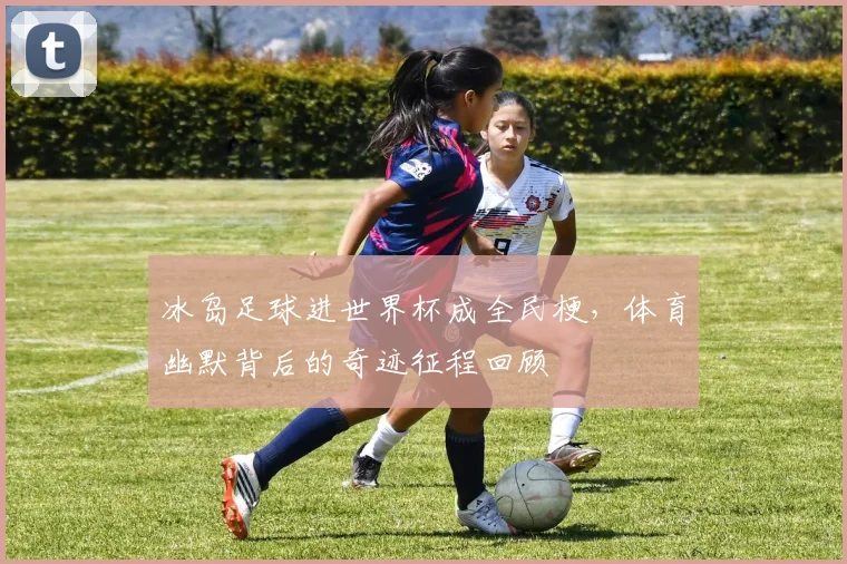 冰岛足球进世界杯成全民梗，体育幽默背后的奇迹征程回顾
