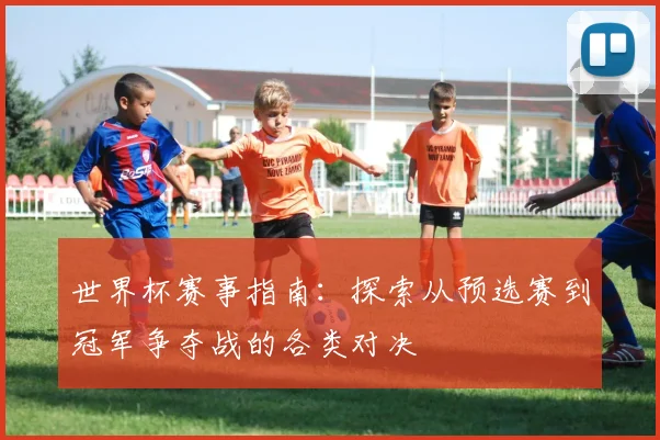 世界杯赛事指南：探索从预选赛到冠军争夺战的各类对决