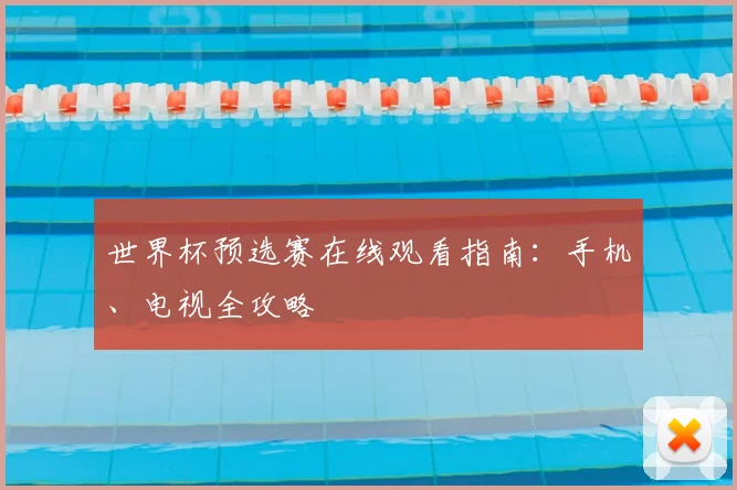 世界杯预选赛在线观看指南:手机、电视全攻略