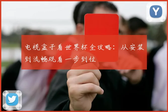 电视盒子看世界杯全攻略：从安装到流畅观看一步到位